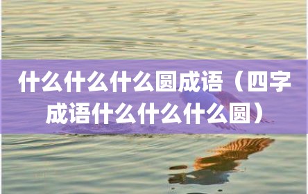 什么什么什么圆成语（四字成语什么什么什么圆）