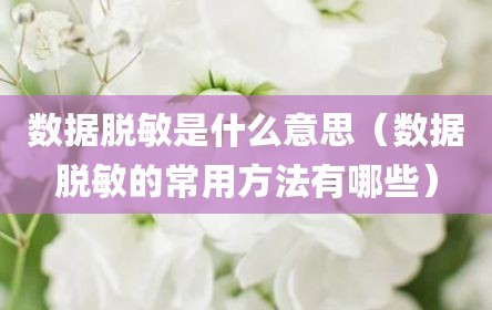 数据脱敏是什么意思（数据脱敏的常用方法有哪些）
