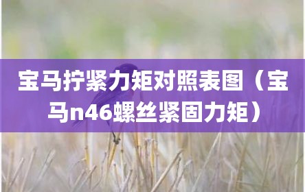 宝马拧紧力矩对照表图（宝马n46螺丝紧固力矩）