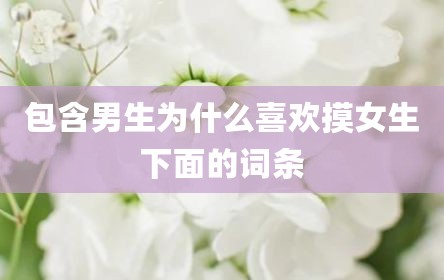 包含男生为什么喜欢摸女生下面的词条