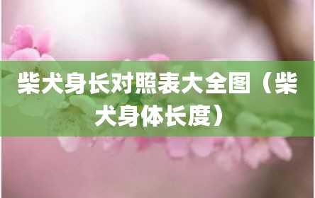 柴犬身长对照表大全图（柴犬身体长度）