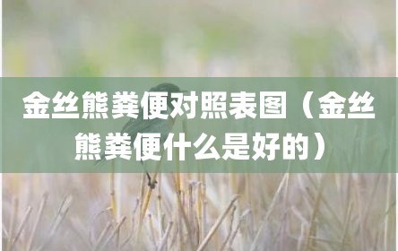 金丝熊粪便对照表图（金丝熊粪便什么是好的）