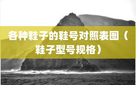 各种鞋子的鞋号对照表图（鞋子型号规格）