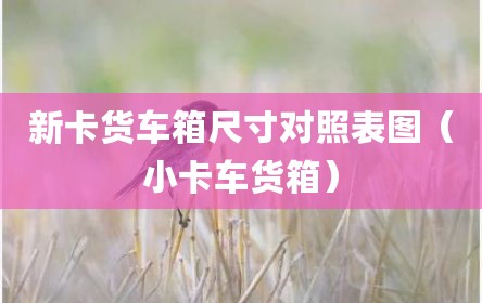 新卡货车箱尺寸对照表图（小卡车货箱）