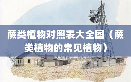 蕨类植物对照表大全图（蕨类植物的常见植物）