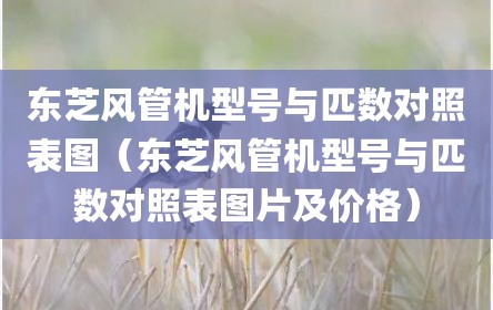 东芝风管机型号与匹数对照表图（东芝风管机型号与匹数对照表图片及价格）