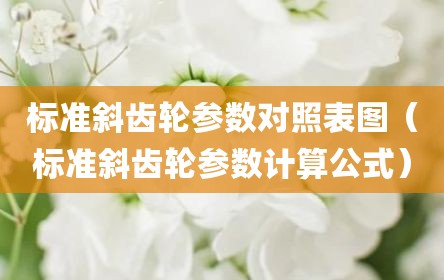 标准斜齿轮参数对照表图（标准斜齿轮参数计算公式）