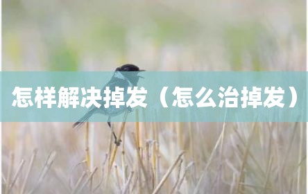 怎样解决掉发（怎么治掉发）