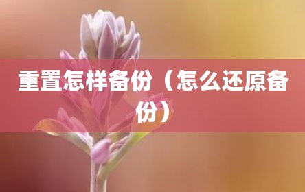 重置怎样备份（怎么还原备份）