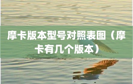 摩卡版本型号对照表图（摩卡有几个版本）