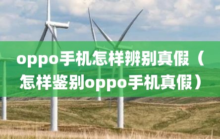 oppo手机怎样辨别真假（怎样鉴别oppo手机真假）