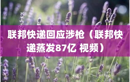 联邦快递回应涉枪（联邦快递蒸发87亿 视频）