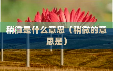 稍微是什么意思（稍微的意思是）