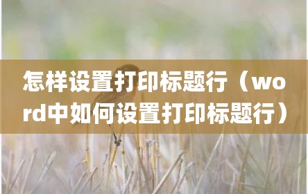 怎样设置打印标题行（word中如何设置打印标题行）