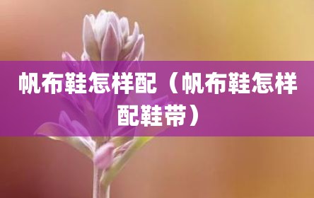 帆布鞋怎样配（帆布鞋怎样配鞋带）