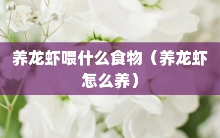 养龙虾喂什么食物（养龙虾怎么养）