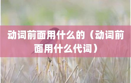 动词前面用什么的（动词前面用什么代词）