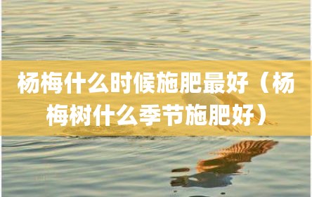 杨梅什么时候施肥最好（杨梅树什么季节施肥好）