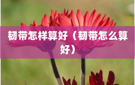 韧带怎样算好（韧带怎么算好）