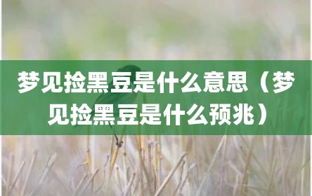 梦见捡黑豆是什么意思（梦见捡黑豆是什么预兆）