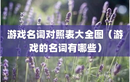 游戏名词对照表大全图（游戏的名词有哪些）