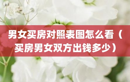 男女买房对照表图怎么看（买房男女双方出钱多少）