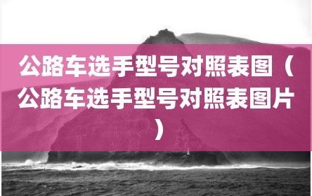 公路车选手型号对照表图（公路车选手型号对照表图片）