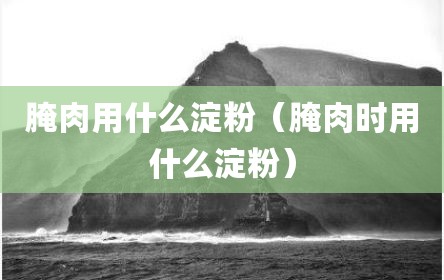 腌肉用什么淀粉（腌肉时用什么淀粉）