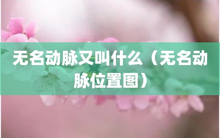 无名动脉又叫什么（无名动脉位置图）