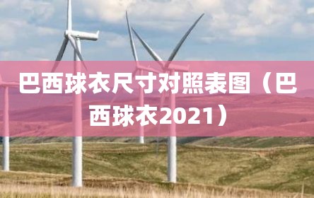 巴西球衣尺寸对照表图（巴西球衣2021）