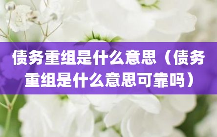 债务重组是什么意思（债务重组是什么意思可靠吗）