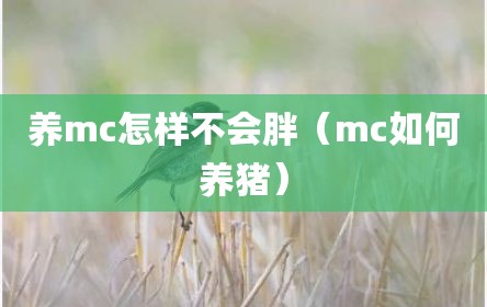 养mc怎样不会胖（mc如何养猪）