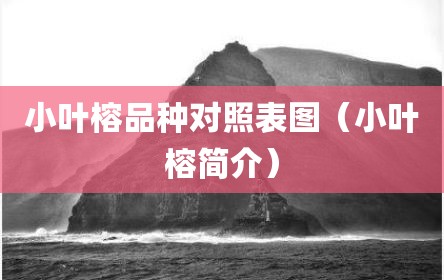 小叶榕品种对照表图（小叶榕简介）