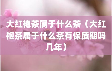 大红袍茶属于什么茶（大红袍茶属于什么茶有保质期吗几年）
