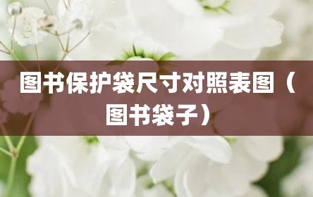 图书保护袋尺寸对照表图（图书袋子）