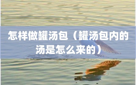 怎样做罐汤包（罐汤包内的汤是怎么来的）