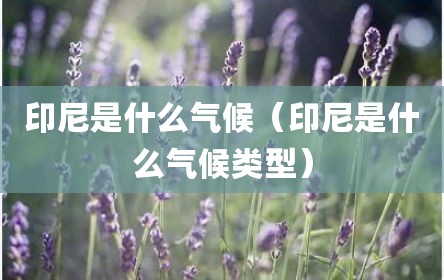 印尼是什么气候（印尼是什么气候类型）