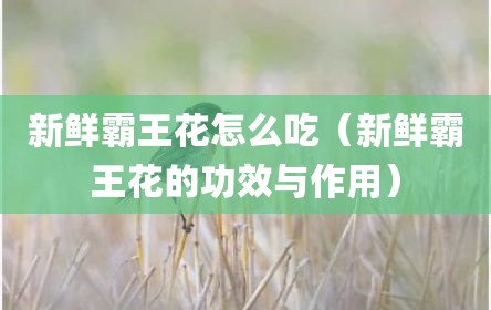 新鲜霸王花怎么吃（新鲜霸王花的功效与作用）