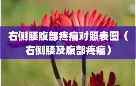 右侧腰腹部疼痛对照表图（右侧腰及腹部疼痛）