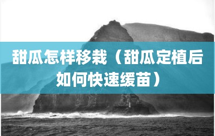 甜瓜怎样移栽（甜瓜定植后如何快速缓苗）