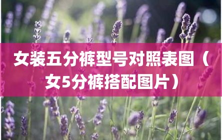 女装五分裤型号对照表图（女5分裤搭配图片）