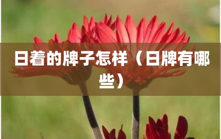 日着的牌子怎样（日牌有哪些）