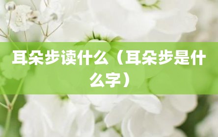 耳朵步读什么（耳朵步是什么字）