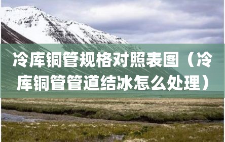 冷库铜管规格对照表图（冷库铜管管道结冰怎么处理）