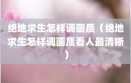 绝地求生怎样调画质（绝地求生怎样调画质看人最清晰）