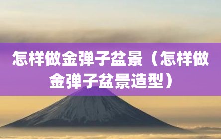 怎样做金弹子盆景（怎样做金弹子盆景造型）