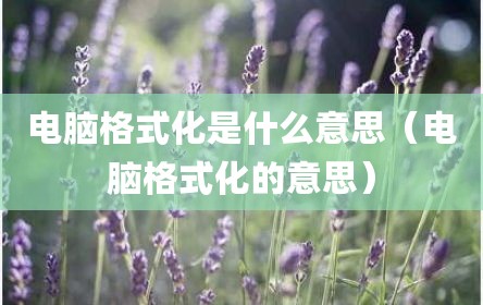 电脑格式化是什么意思（电脑格式化的意思）