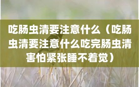 吃肠虫清要注意什么（吃肠虫清要注意什么吃完肠虫清害怕紧张睡不着觉）