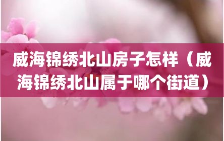 威海锦绣北山房子怎样（威海锦绣北山属于哪个街道）