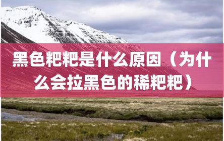 黑色粑粑是什么原因（为什么会拉黑色的稀粑粑）